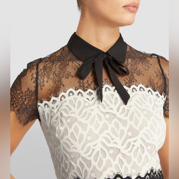 Sandro Paris Rosen Two Tone Sheer Mini Dress Sz 2 - Picture 5 of 16